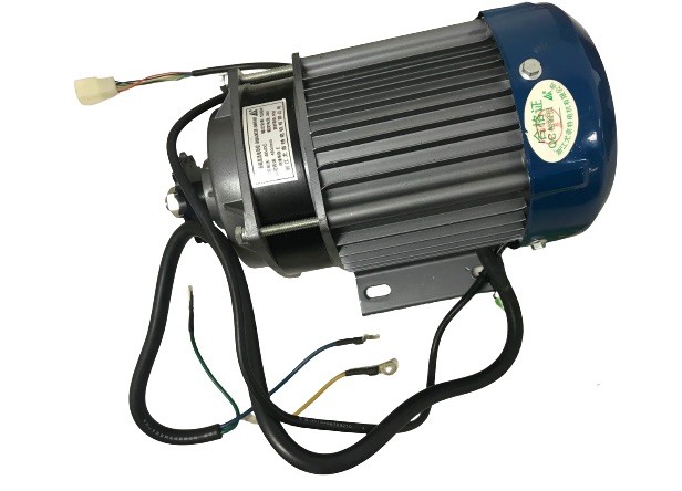 1000w 48v motor on sale