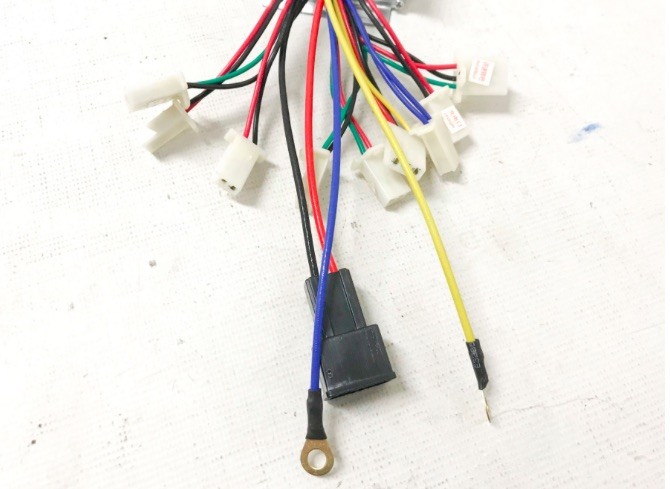 (7H6a) Controller 36V / 1000W 10Stekker/2Kabels