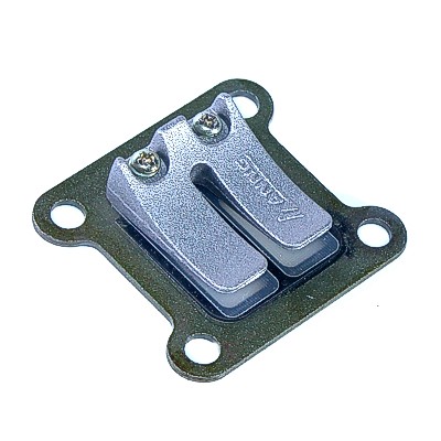 (1E5e) Membraam met huis