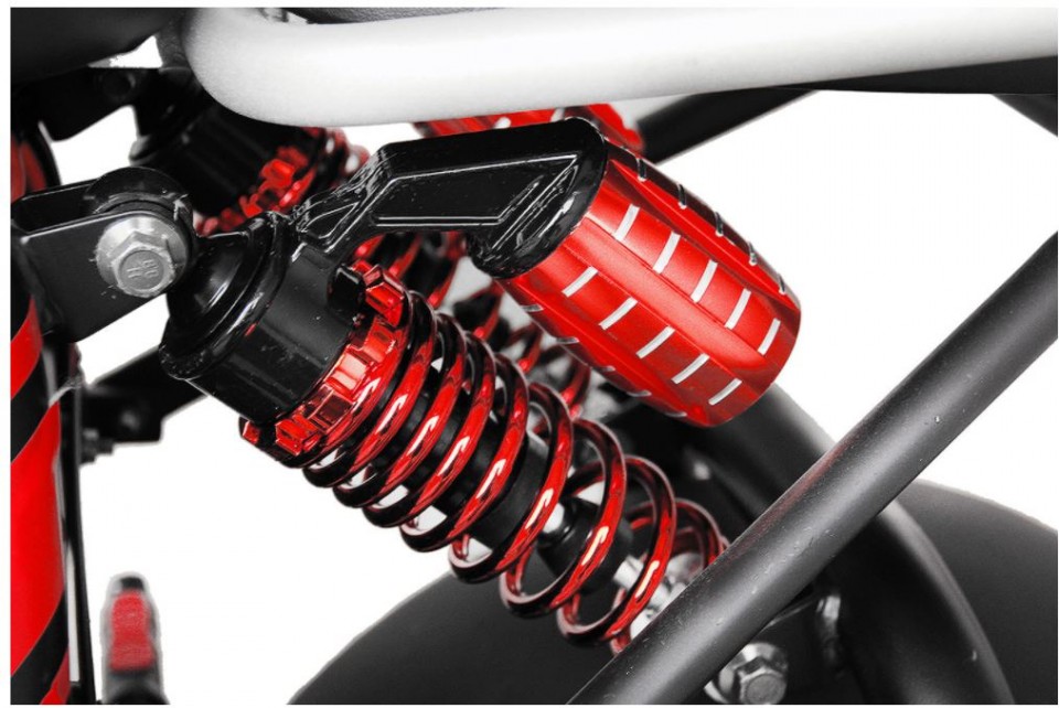 Elektrische S10 cruzer bigwheel scooter