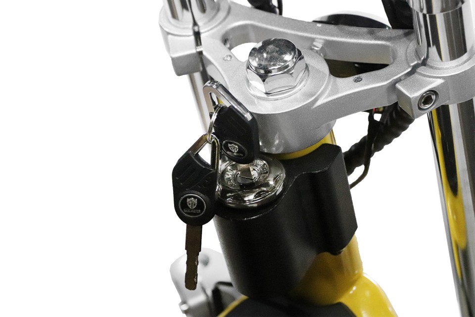 Elektrische S13 cruzer bigwheel scooter black