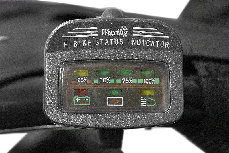 Eco Buggy 1000W GO KID 6'' 48 Off-road Red