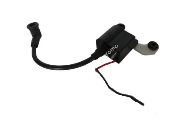 (2D4b) Bobine NRG 2-takt Dirtbike