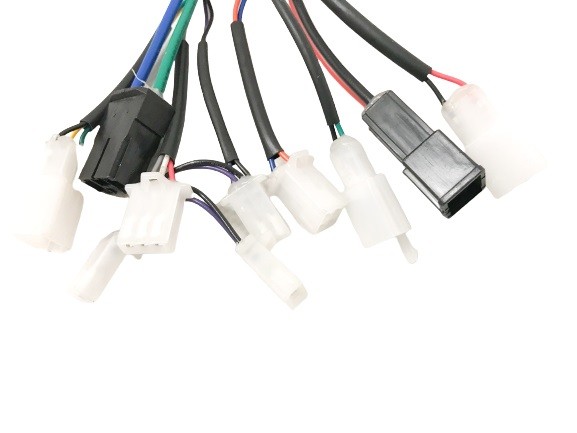 (8D5b) Controller 36V / 1000watt 10 stekker (9070010)