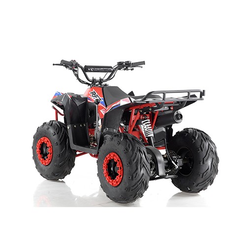 RFZ Kinderquad Gepard AGA-10 Viper 70cc