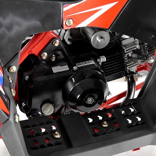 RFZ Kinderquad Gepard AGA-10 Viper 70cc