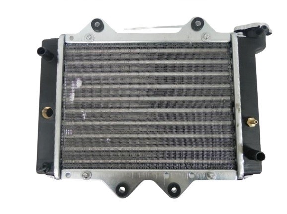 (12C6a) Radiateur egl motor mad max eglmotor
