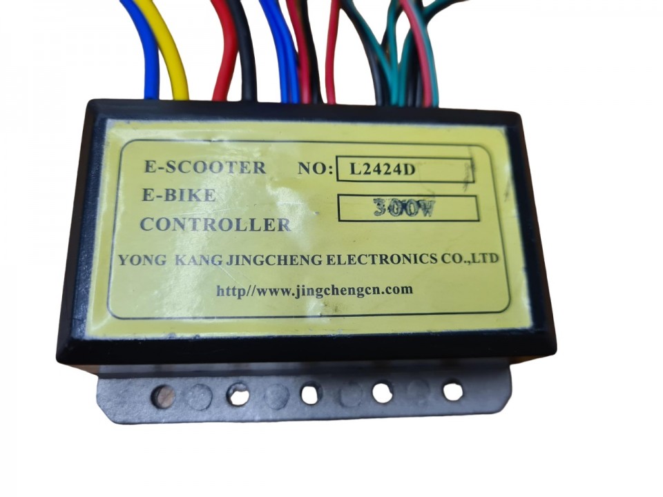 (7H2a) Controller 24V / 300w 10stekkers Eco Flee