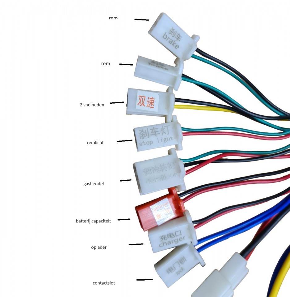(7H2a) Controller 24V / 300w 10stekkers Eco Flee