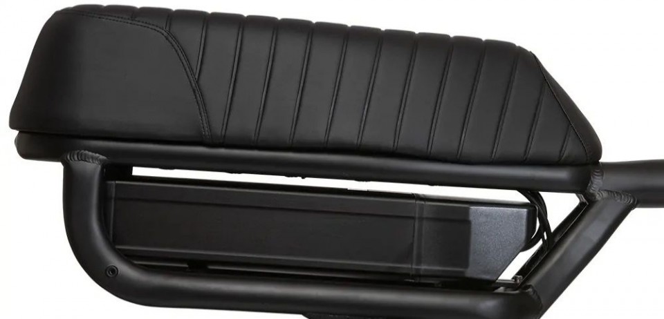 STOER Ultimate S1+ - metallic green - elektrische fatbike