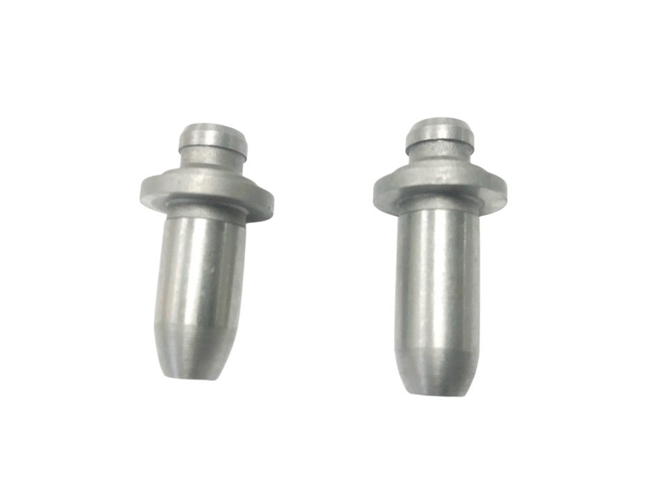 (9E1e) geleidebus kleppen cilinderkop