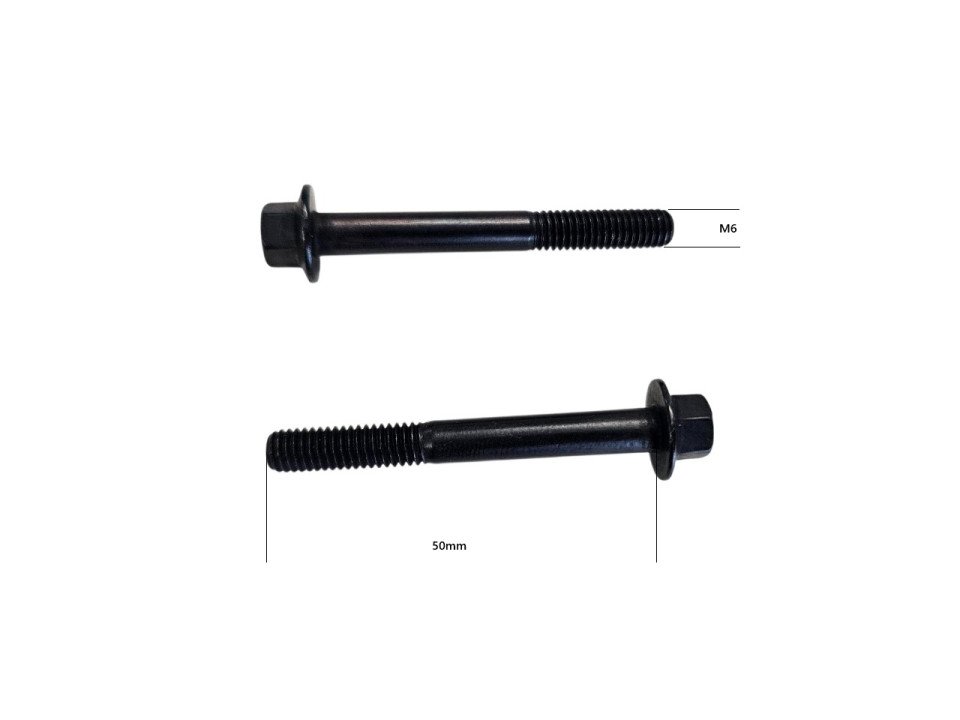 (8i3e) Carterboutset M6 x 50 (2 Stuks)