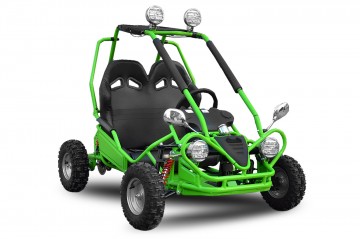 Eco Buggy 450W Off-road 6