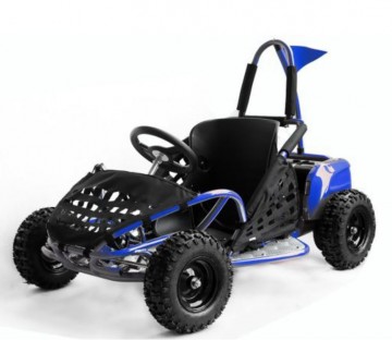 Eco Buggy 1000W GO KID 6