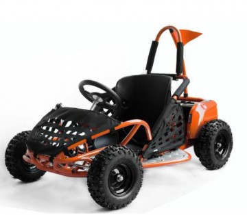 Eco Buggy 1000W GO KID 6