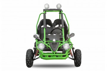 Eco Buggy 750W Off-road 6