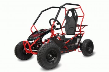 Eco Buggy 1000W GOKART 6