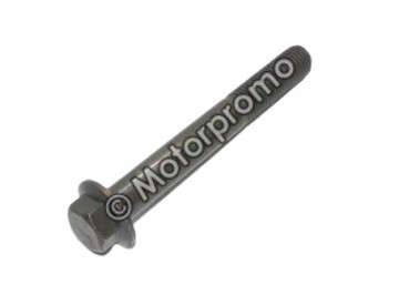 (8i1a) Kraagbout M10 x 110