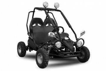 Eco Buggy 450W Off-road 6