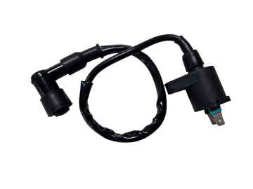 (2D4c) Bobine / bougiedop