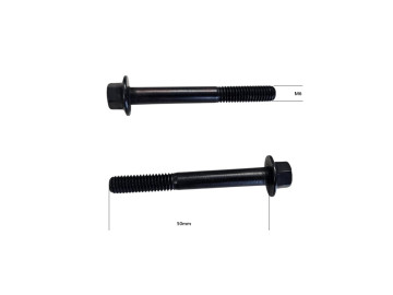 (8i3e) Carterboutset M6 x 50 (2 Stuks)