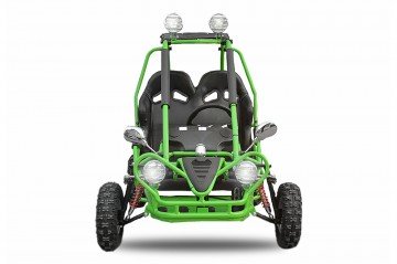 Eco Buggy 750W Off-road 6