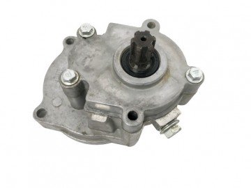 (3E2c) Koppelingshuis Buggy