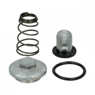 (1D2f) oliefilter set GY6 (50cc, 125cc en 150cc)