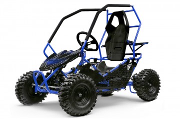 Eco Buggy 1000W GOKART Crosser 6