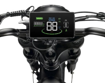 Display V20 Pro fatbike – H6C